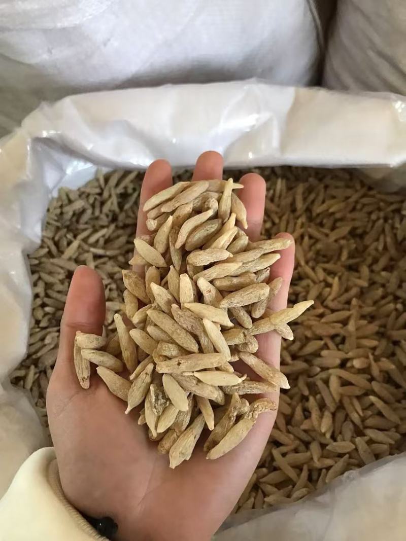 麦冬，规格齐全，价格实惠，质量保证