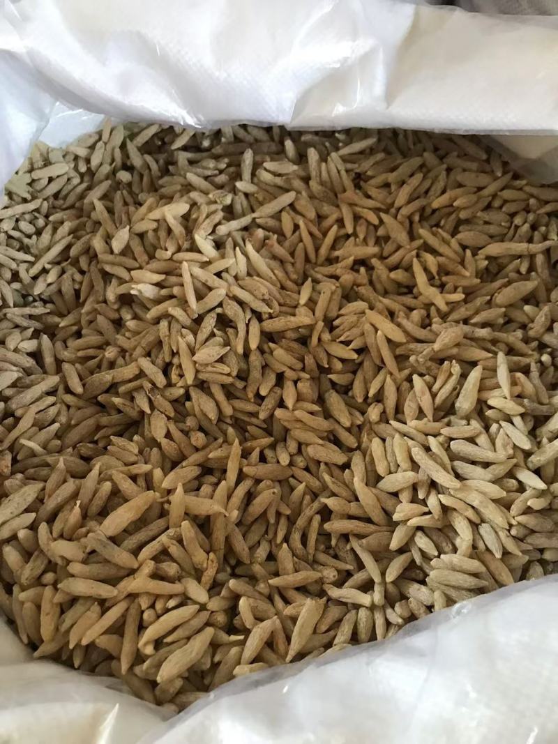 麦冬，规格齐全，价格实惠，质量保证