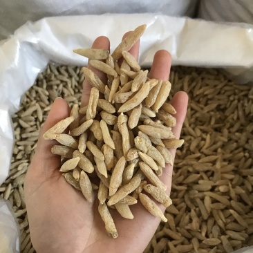 麦冬，规格齐全，价格实惠，质量保证