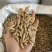 麦冬，规格齐全，价格实惠，质量保证