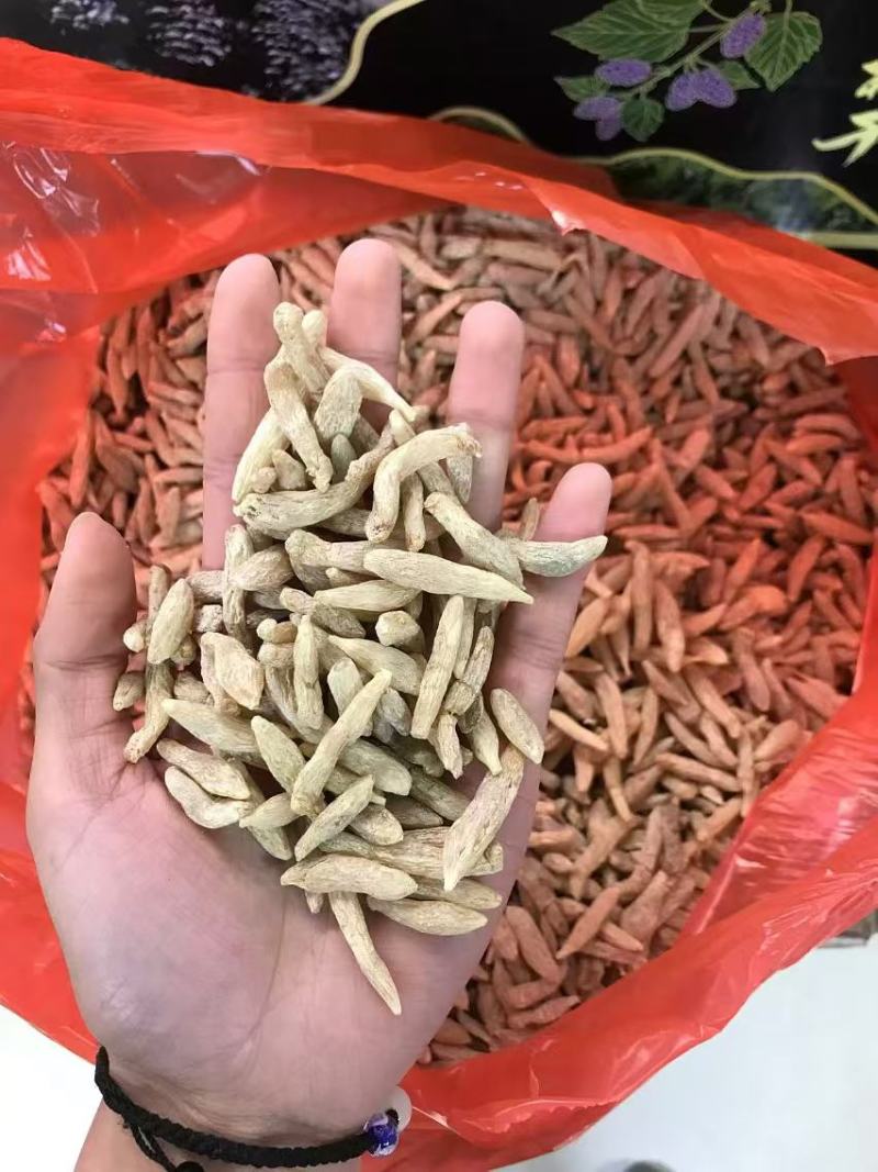 麦冬规格齐全随时有货量大价优