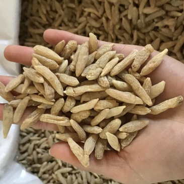 麦冬规格齐全随时有货量大价优