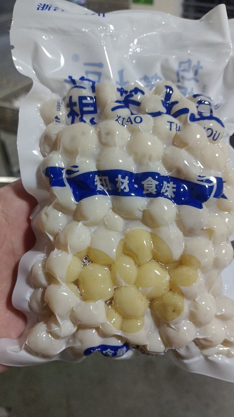 坞根小土豆