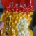 坞根小土豆