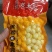 坞根小土豆