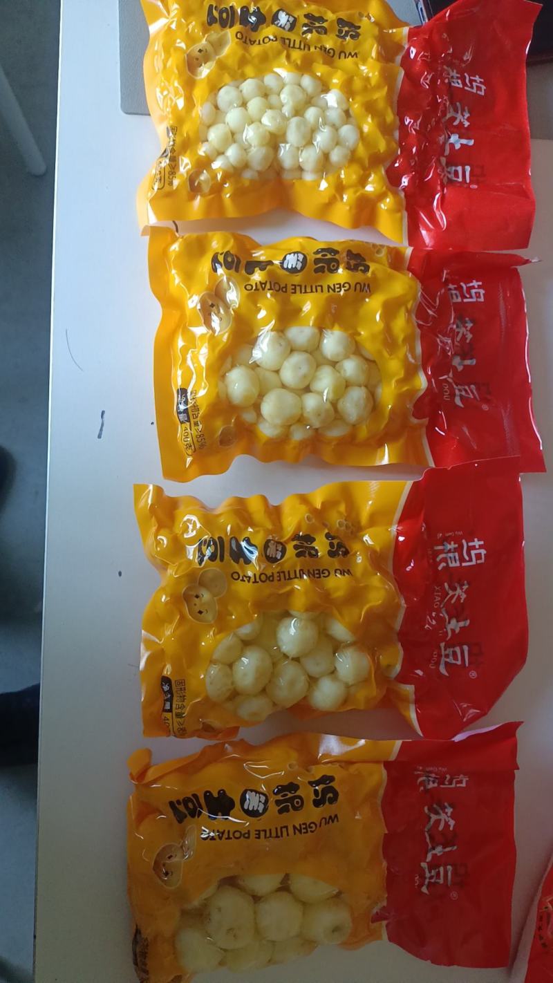 坞根小土豆