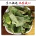淫羊藿男性精选当季新货泡茶泡水全国发货价格便宜