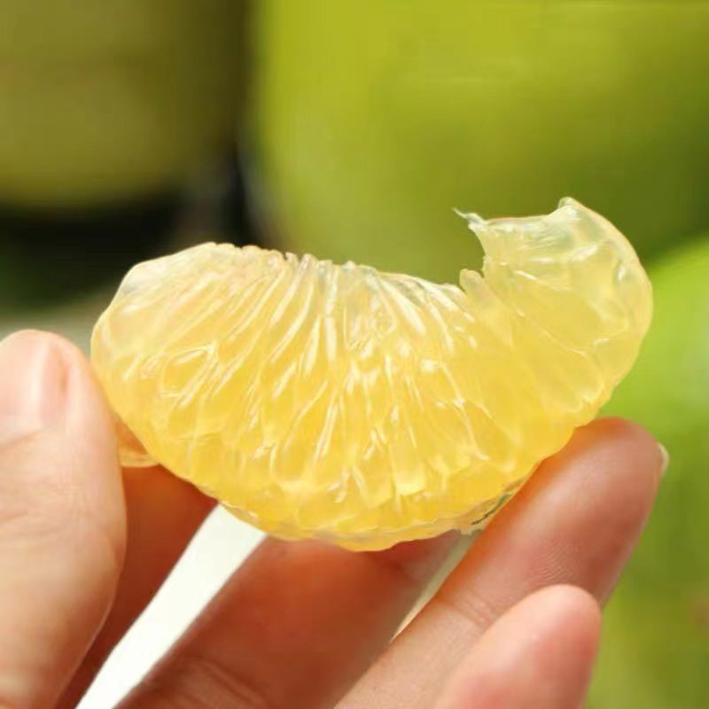 【广西产地】正宗新鲜皇帝柑贡柑皮薄肉厚爆甜应季水果柑橘桔子