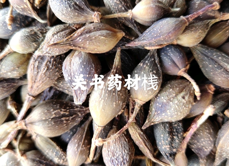 连翘黄翘老翘选新货关书药业批发中药材