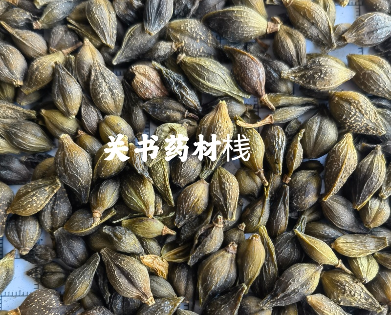 连翘黄翘老翘选新货关书药业批发中药材