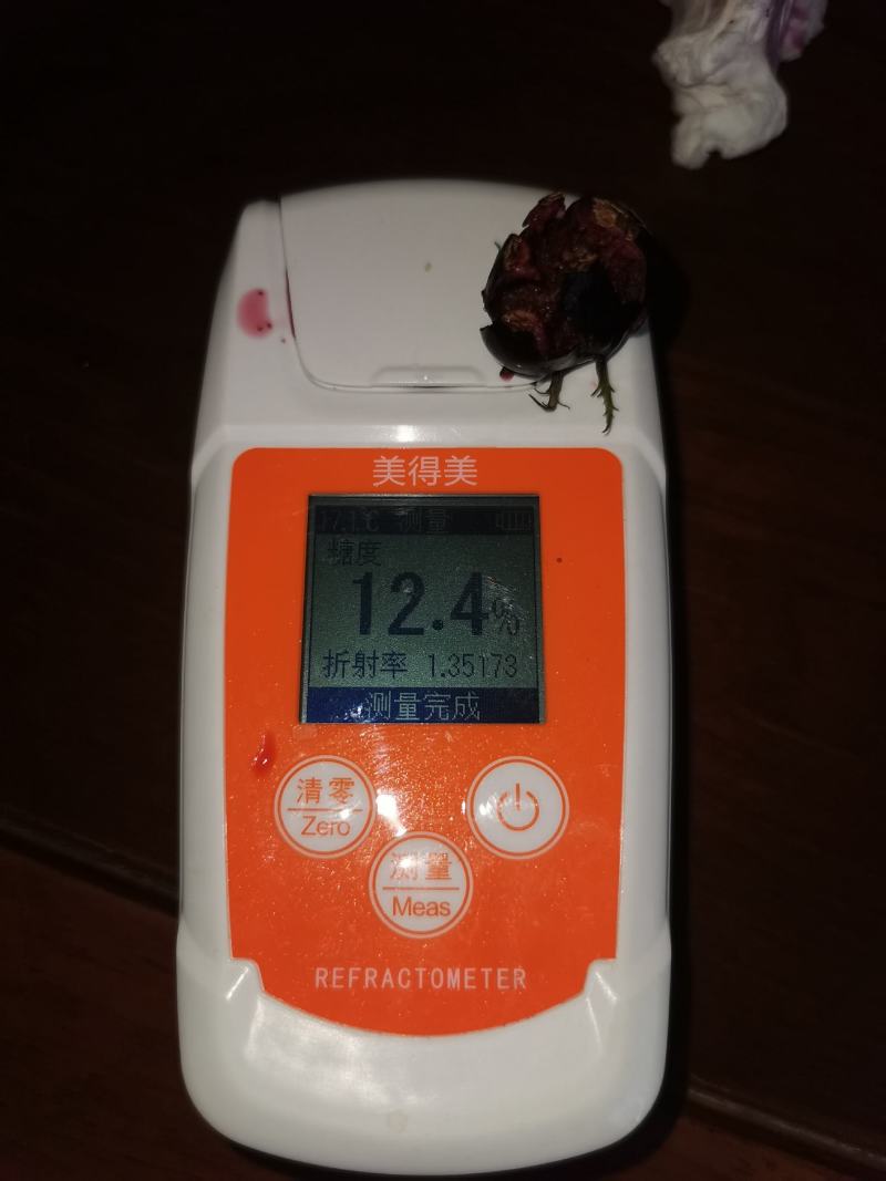 基地直供红参果，全国发货，定制包装，接渠道市场，代发订单