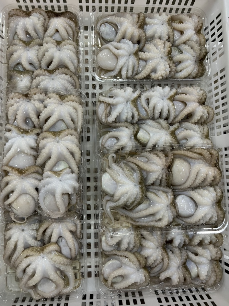 八爪鱼章鱼火锅店烧烤店自助餐团购可用