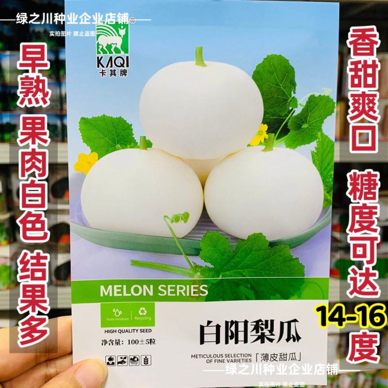 白沙甜瓜种子白阳梨瓜种籽大果高产薄皮特大白皮香瓜种子