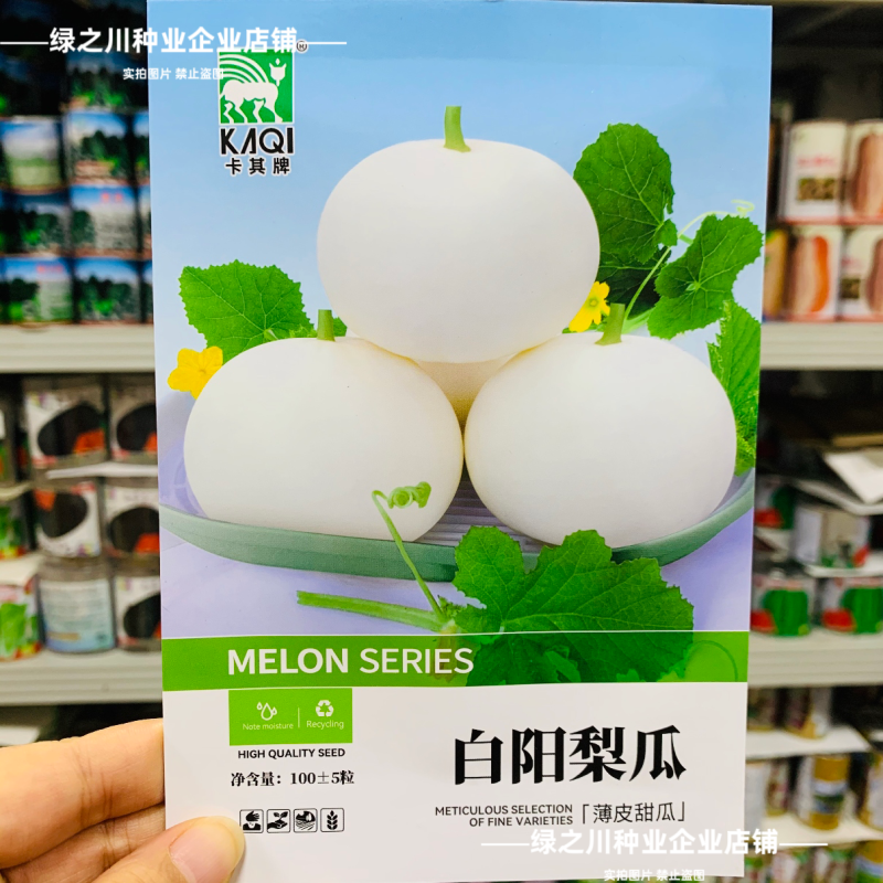 白沙甜瓜种子白阳梨瓜种籽大果高产薄皮特大白皮香瓜种子