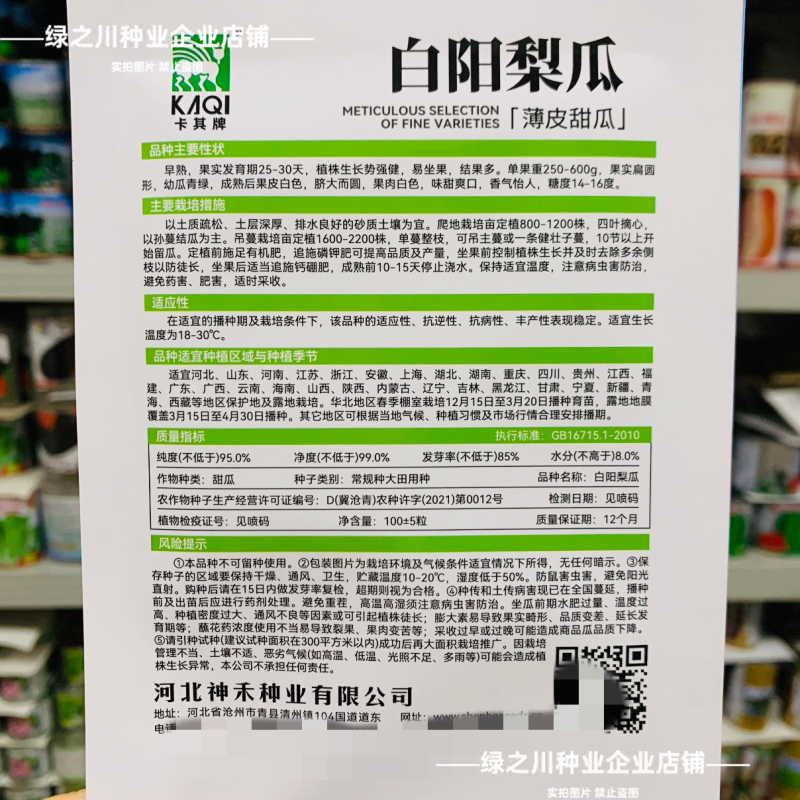 白沙甜瓜种子白阳梨瓜种籽大果高产薄皮特大白皮香瓜种子