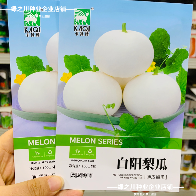 白沙甜瓜种子白阳梨瓜种籽大果高产薄皮特大白皮香瓜种子