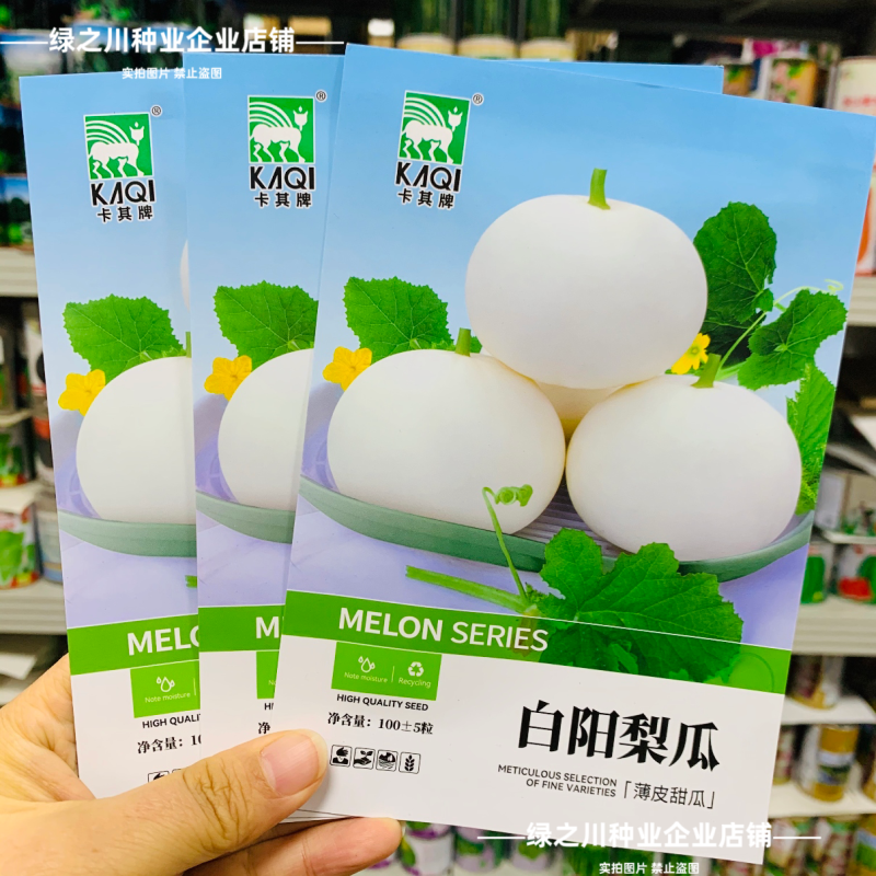 白沙甜瓜种子白阳梨瓜种籽大果高产薄皮特大白皮香瓜种子
