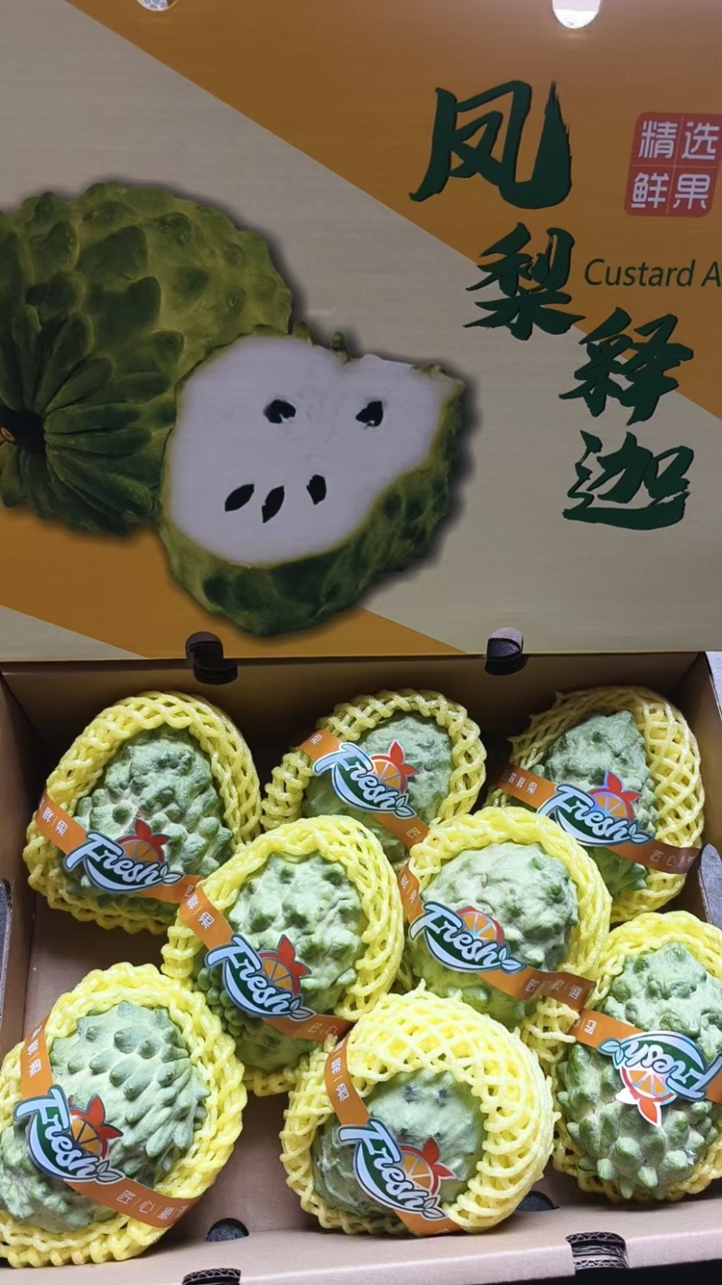 凤梨释迦产地一手代办供应全国批发市场社区团购