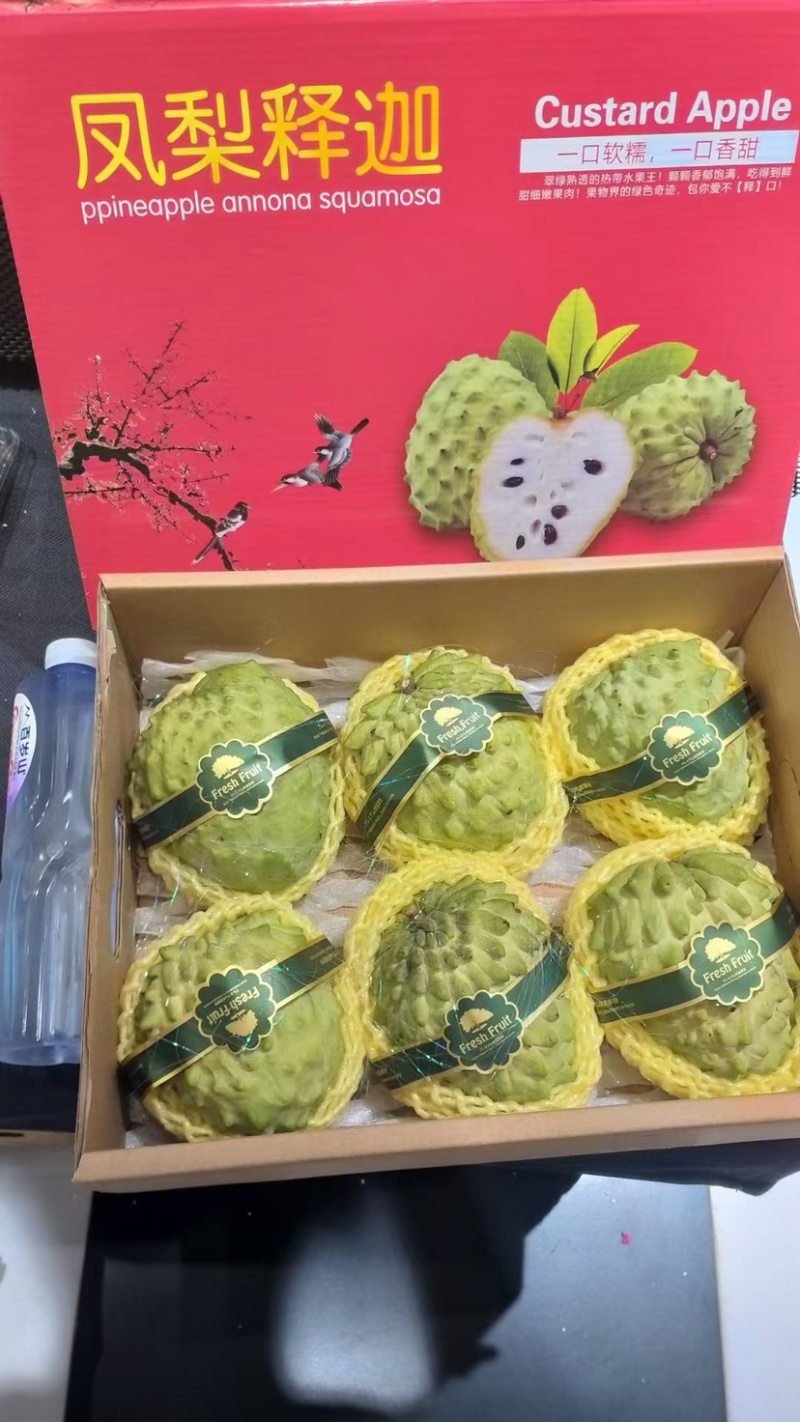 凤梨释迦产地一手代办供应全国批发市场社区团购