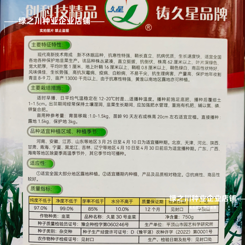 久星30号韭菜种子冬季不休眠韭菜种子特高产特耐寒高抗病