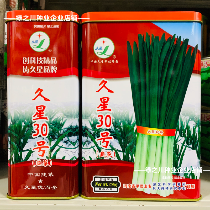 久星30号韭菜种子冬季不休眠韭菜种子特高产特耐寒高抗病