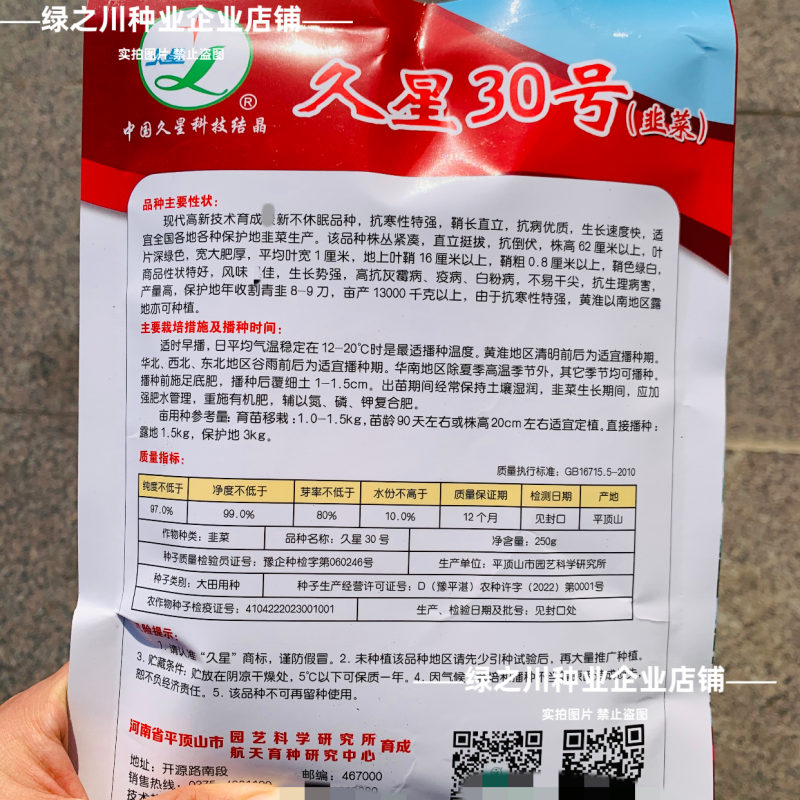 久星30号韭菜种子冬季不休眠韭菜种子特高产特耐寒高抗病