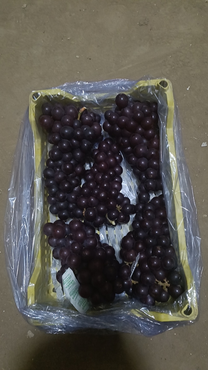 辽宁锦州北镇巨丰辽丰大量现货价格便宜有要联系