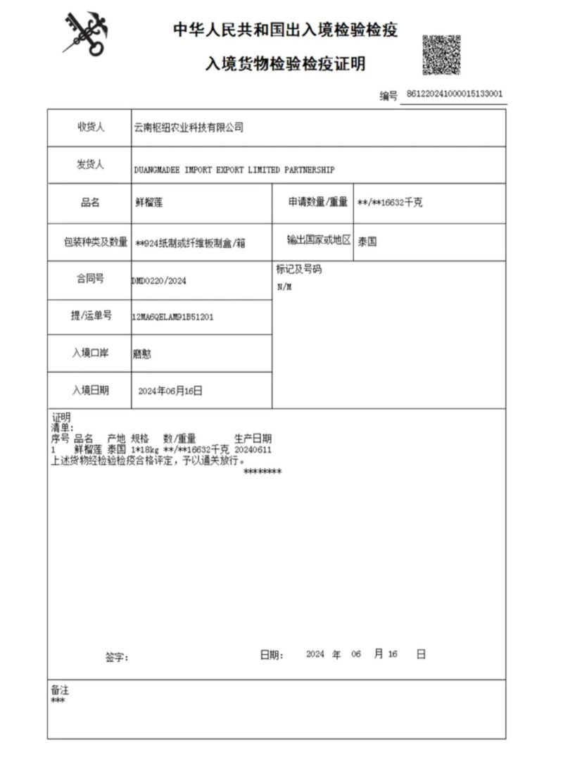 金枕榴莲，一手货源产地批发坏果包赔包售后包邮