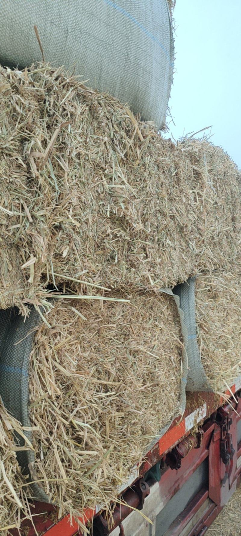 稻草扎断精品稻草过风选稻草