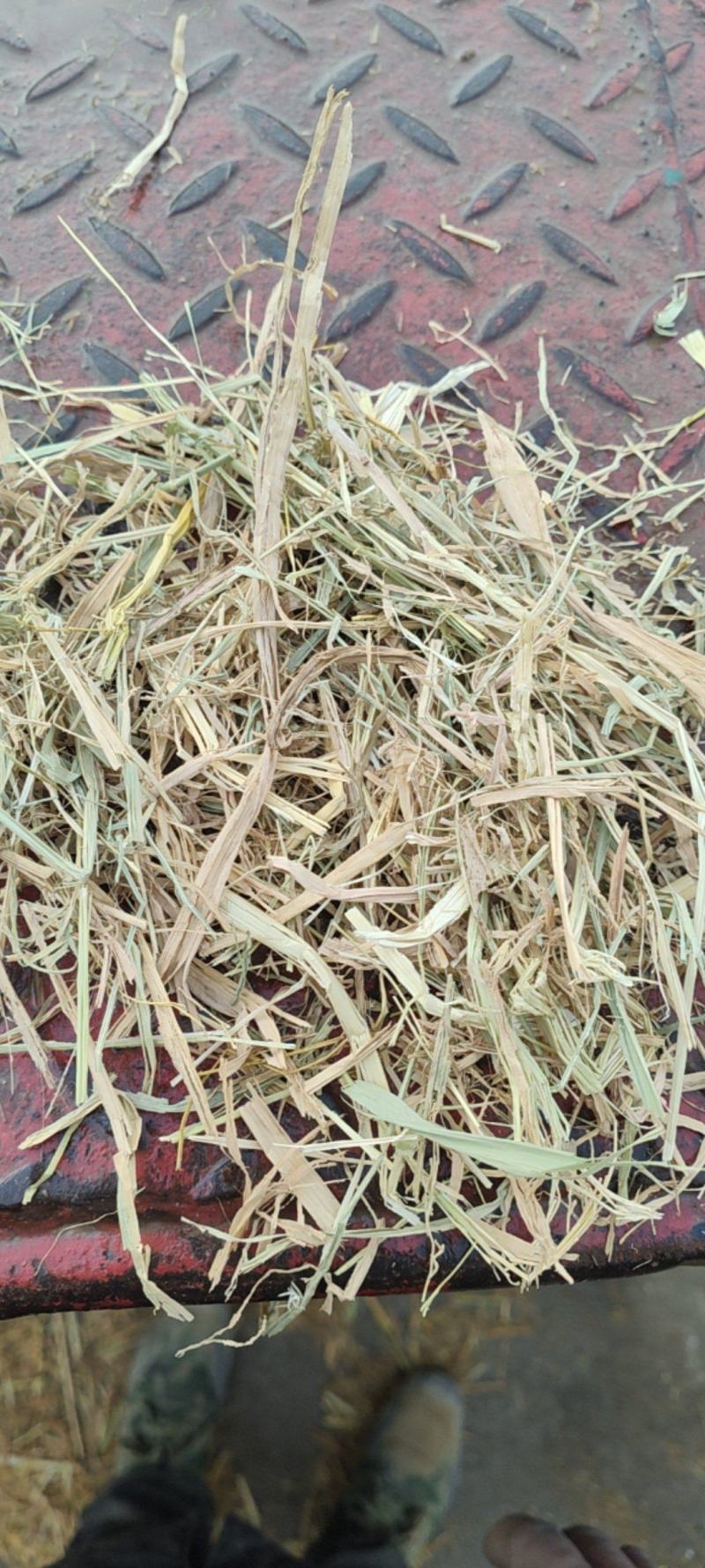 稻草扎断精品稻草过风选稻草