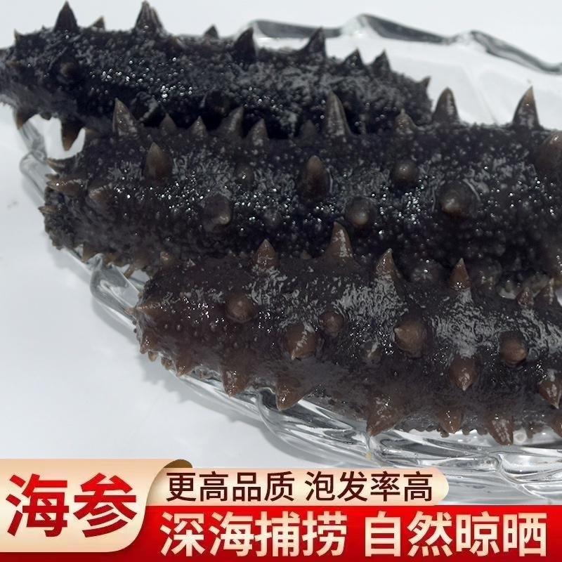即食冷水速发海参厂家直销一手货源常温发货一件代发过节礼品