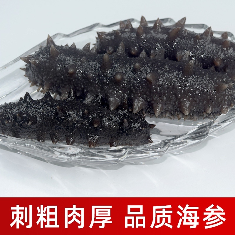 即食冷水速发海参厂家直销一手货源常温发货一件代发过节礼品