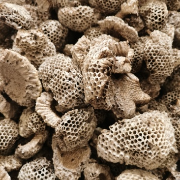 蜂房小眼蜂房现货批发