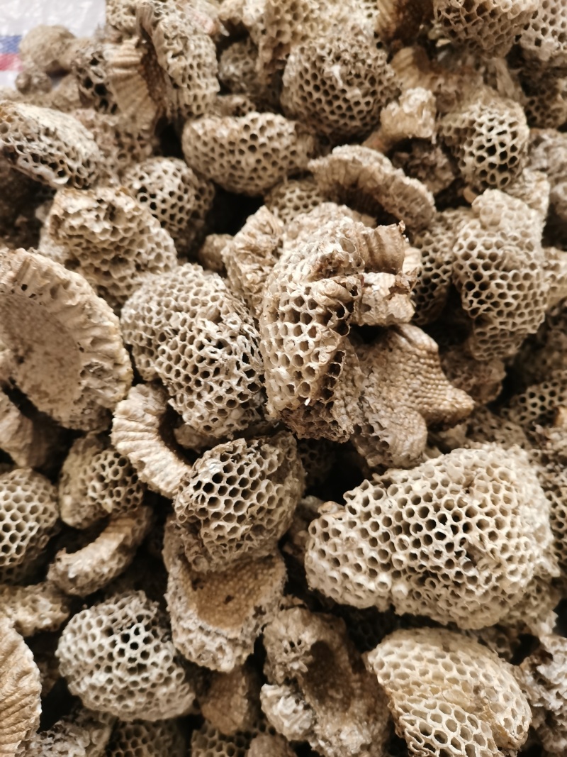 蜂房小眼蜂房现货批发