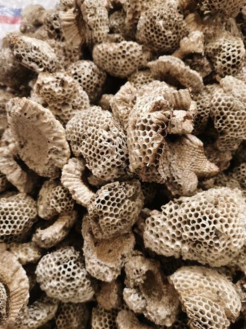 蜂房小眼蜂房现货批发