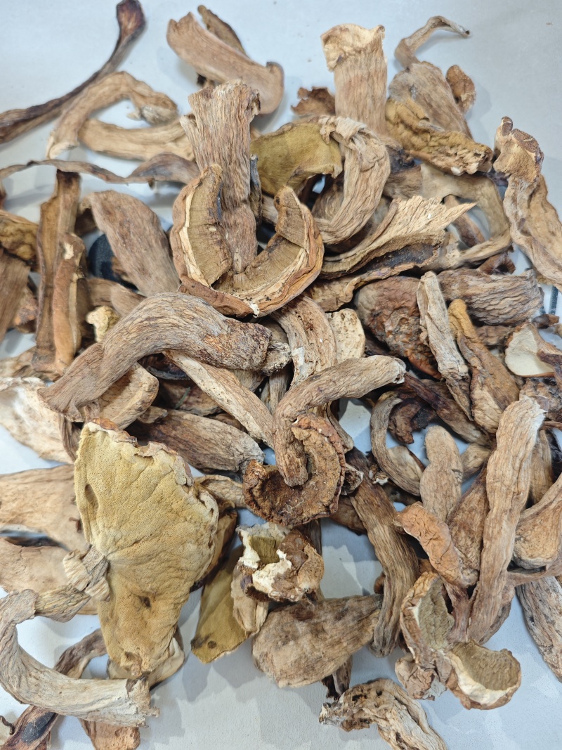 东北野生牛肝菌味道嘎嘎香