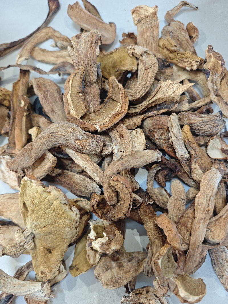 东北野生牛肝菌味道嘎嘎香