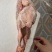 白条鸽子𓅯ˎˊ🕊️