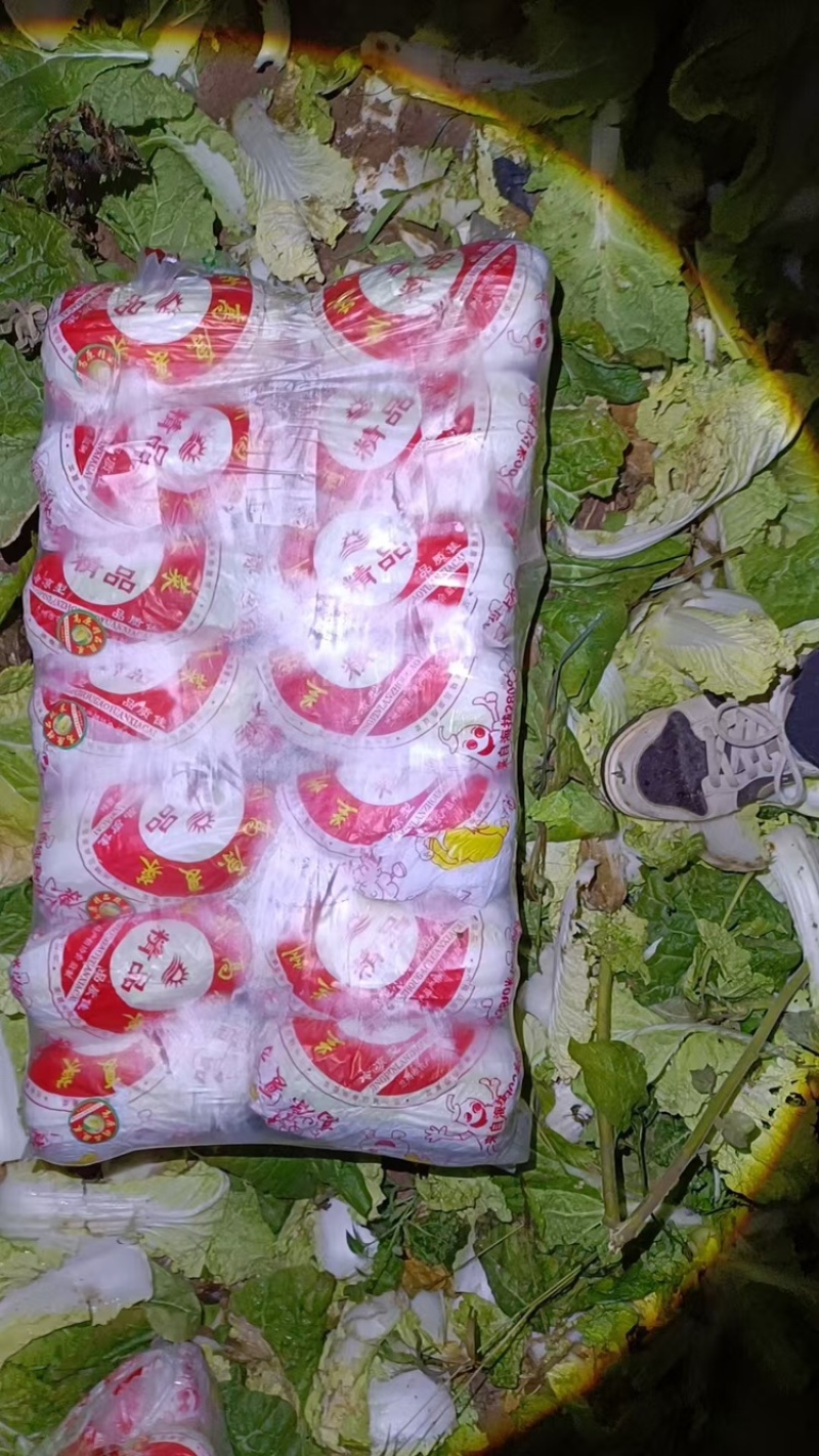 河南娃娃菜大量上市，黄娃，绿娃可按需包装，需要的联系