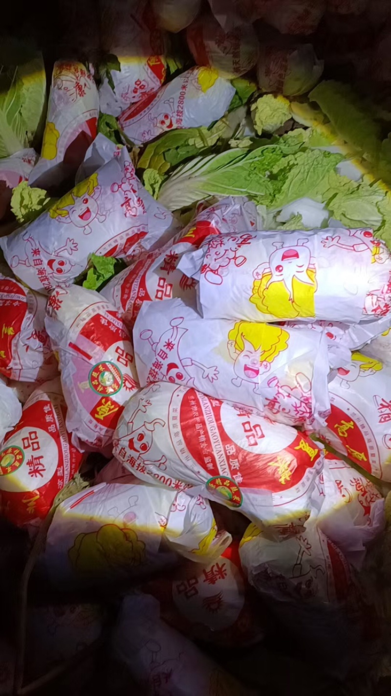 河南娃娃菜大量上市，黄娃，绿娃可按需包装，需要的联系