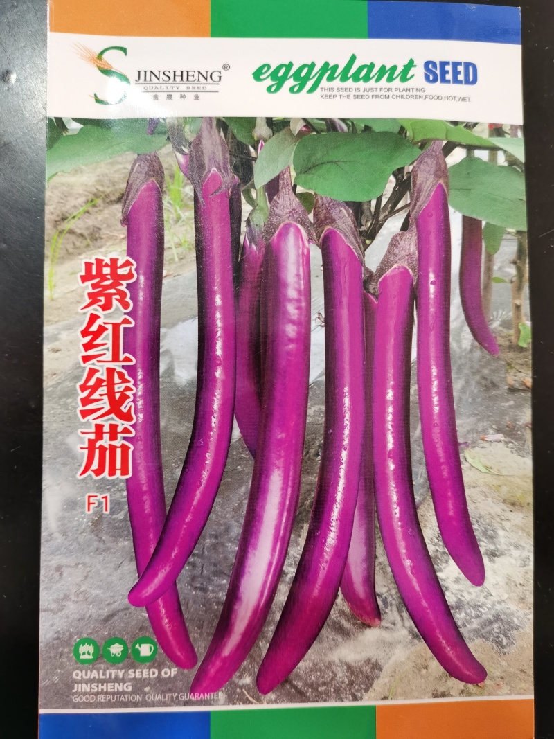 春秋长茄鸿运早茄越豪919系列紫茄子品种