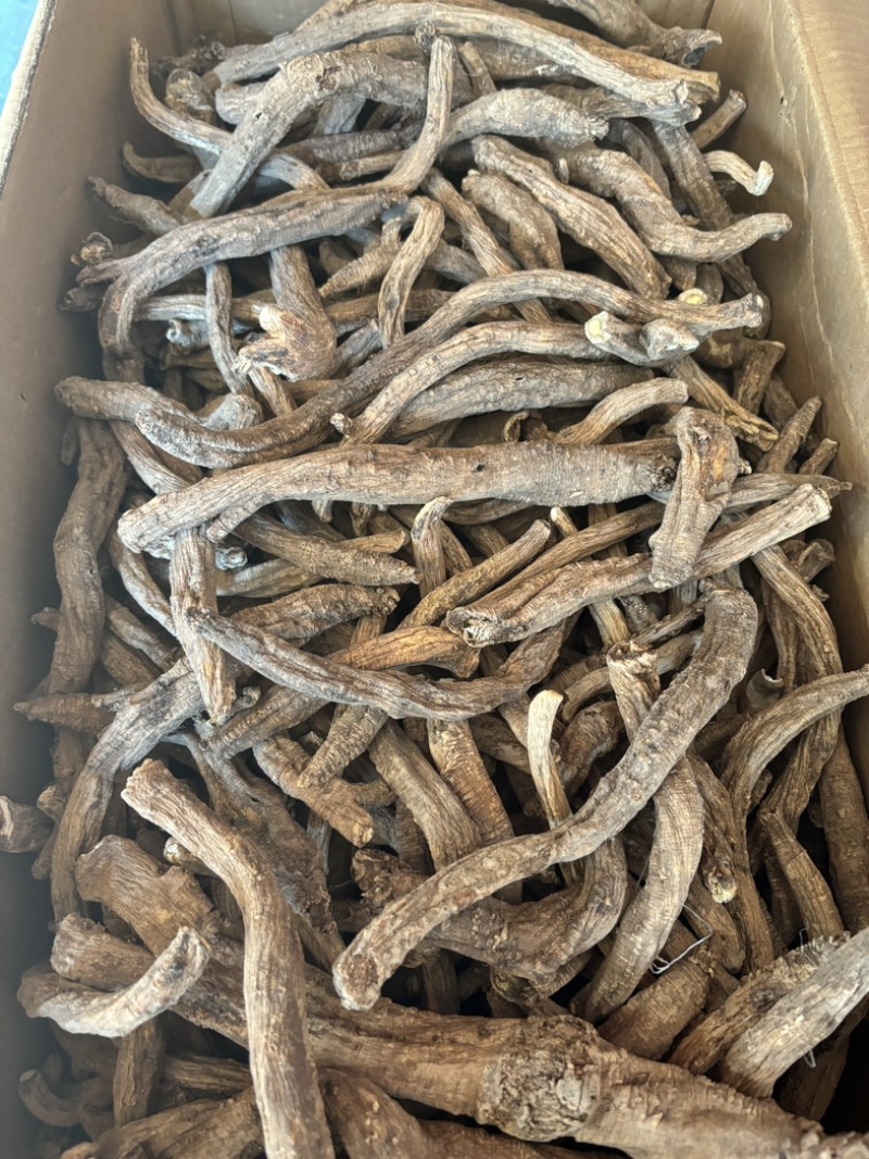 野生党参土党参藏党参野生药材山货源头直供
