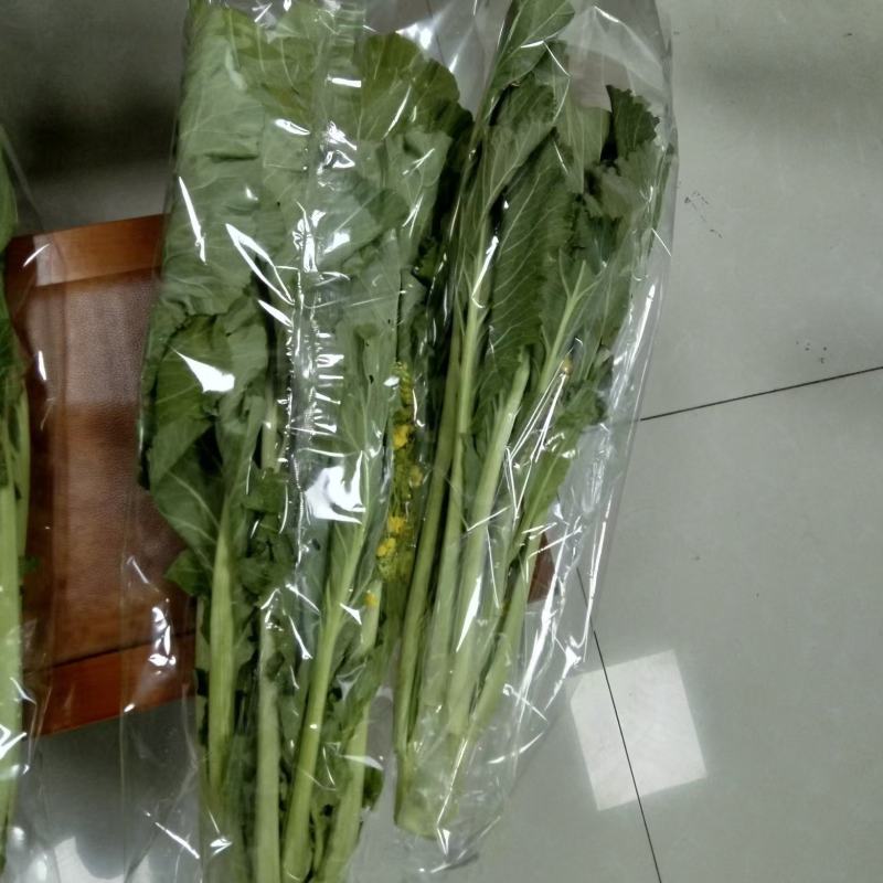 增城迟菜心广东特产基地直销