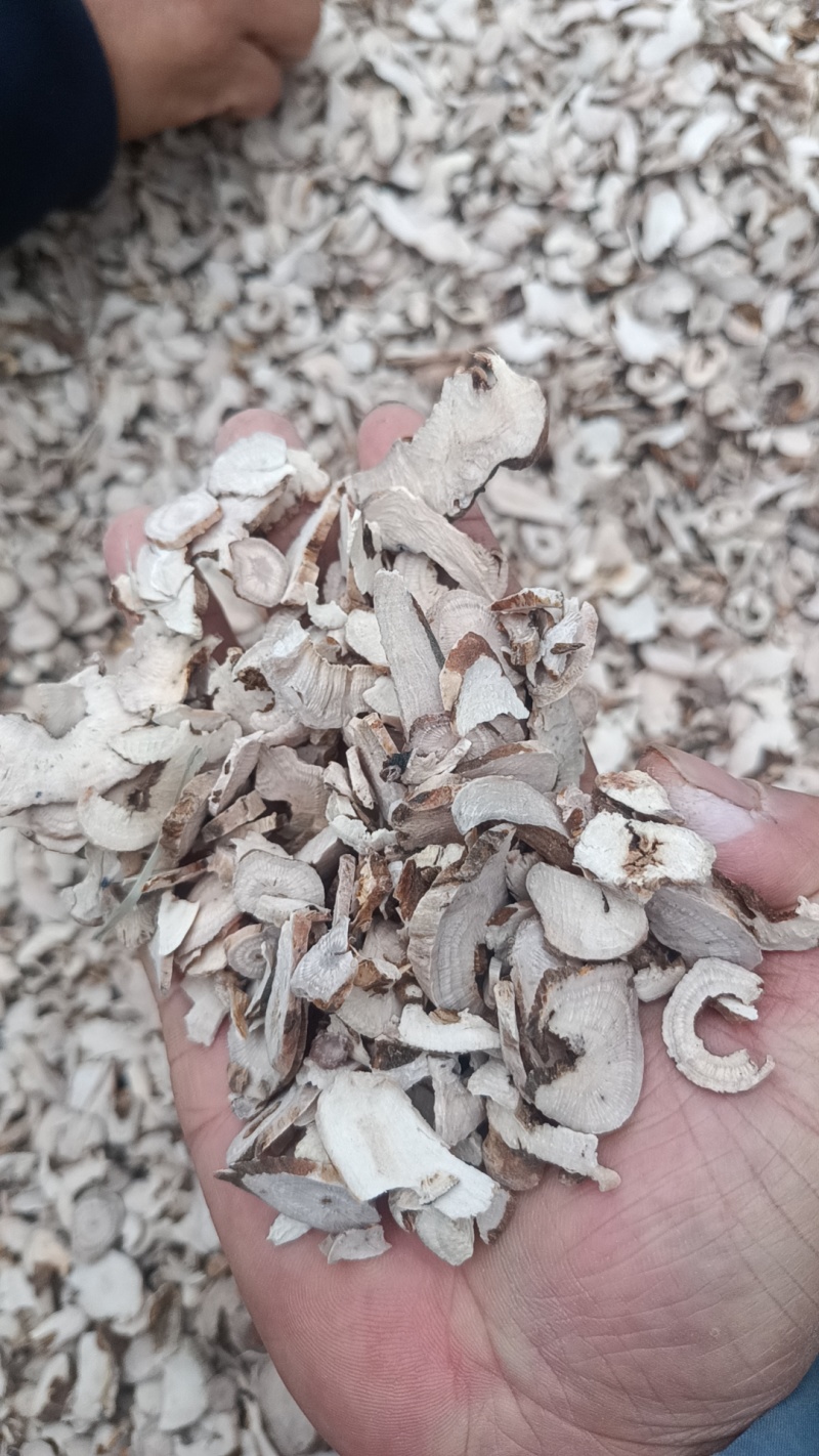 《亳白芍》白芍狗头片、熟狗头片、产地货源所见即所得