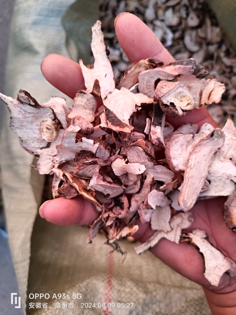 《亳白芍》白芍狗头片、熟狗头片、产地货源所见即所得
