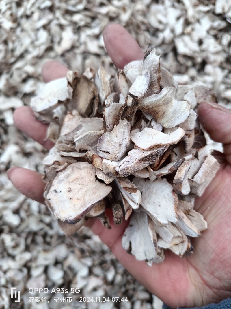 《亳白芍》白芍狗头片、熟狗头片、产地货源所见即所得