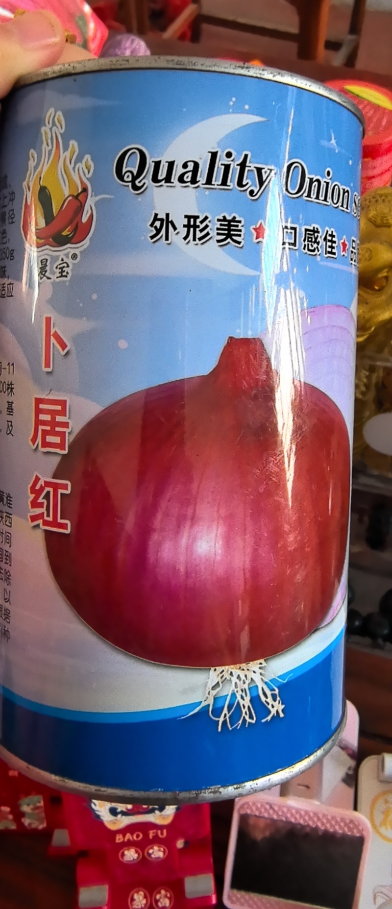洋葱苗，卜居红紫红皮洋葱苗，签合同包回收，山东晨宝种业