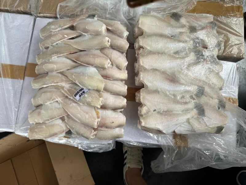 三去马面鱼50/100。100/200