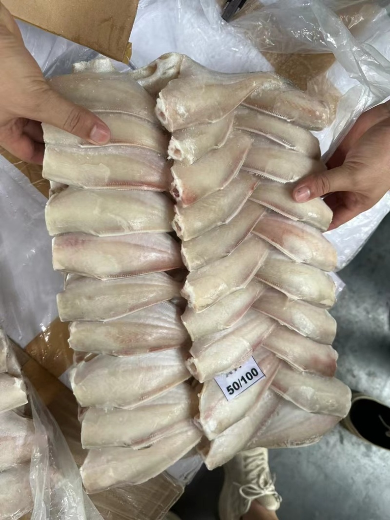 三去马面鱼50/100。100/200