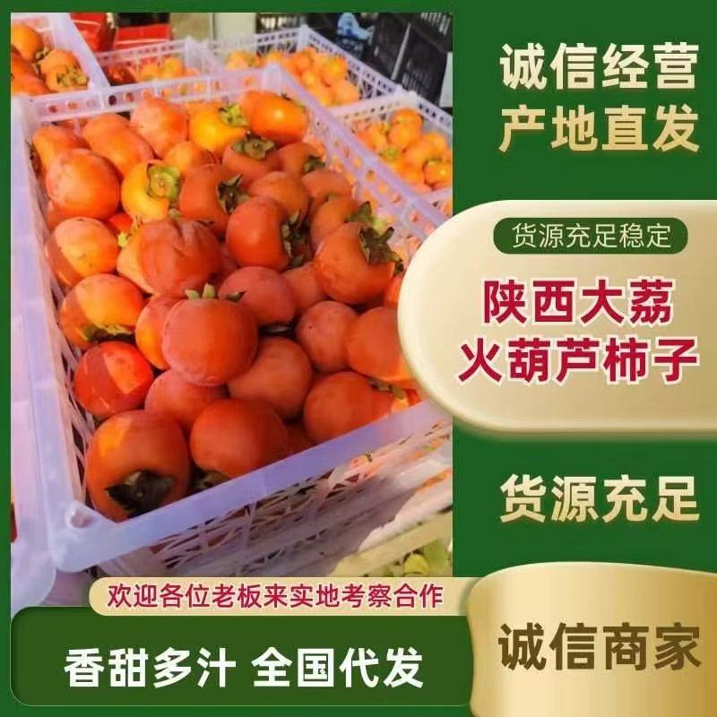 陕西正宗火葫芦柿子口感脆甜不涩无擦伤黑点！